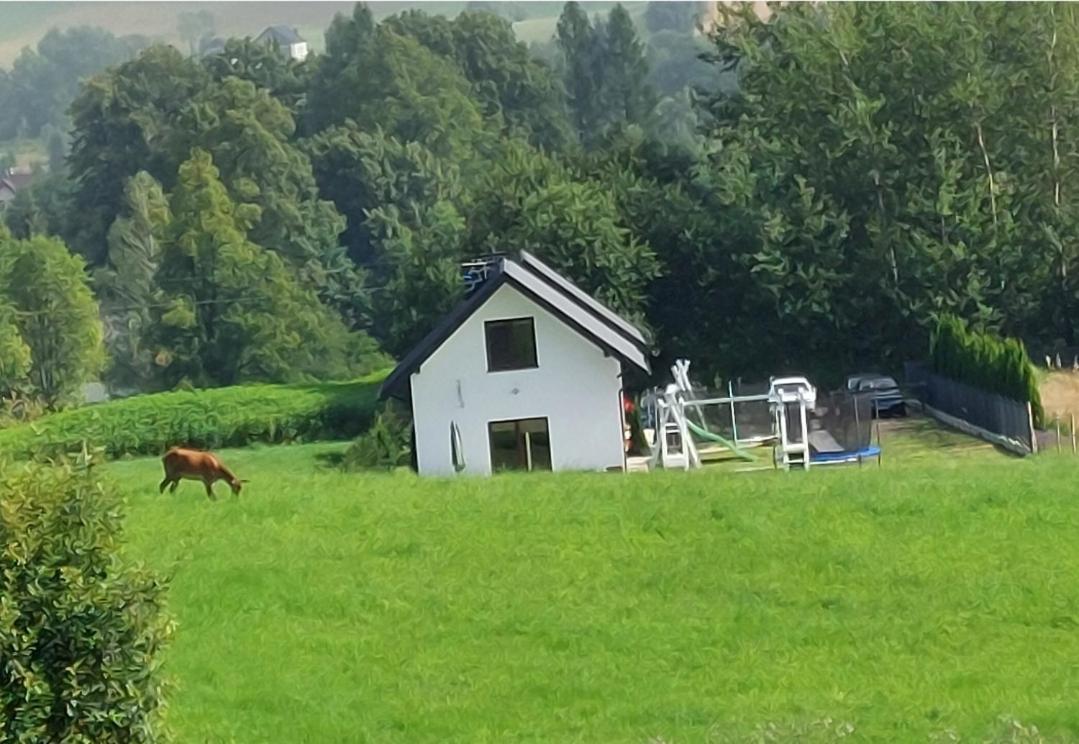 Вилла Domek Pod Holica 2 Bieszczady Устшики-Дольне Экстерьер фото