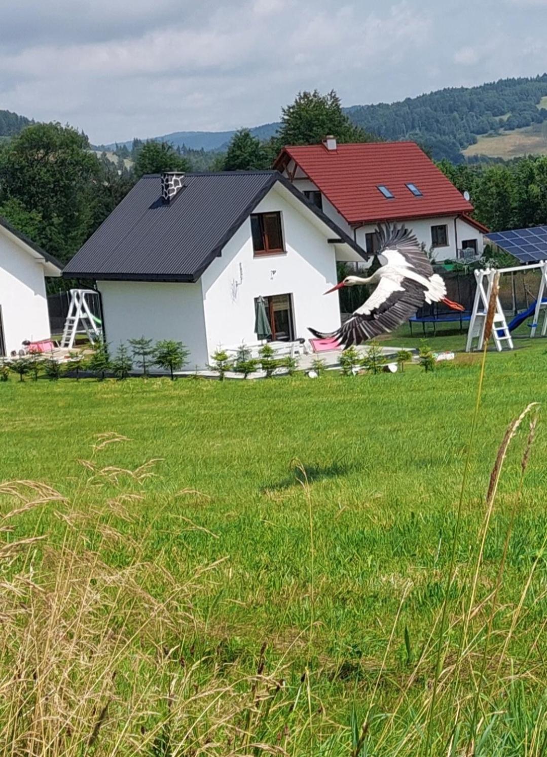 Domek Pod Holica 2 Bieszczady Устшики-Дольне Экстерьер фото